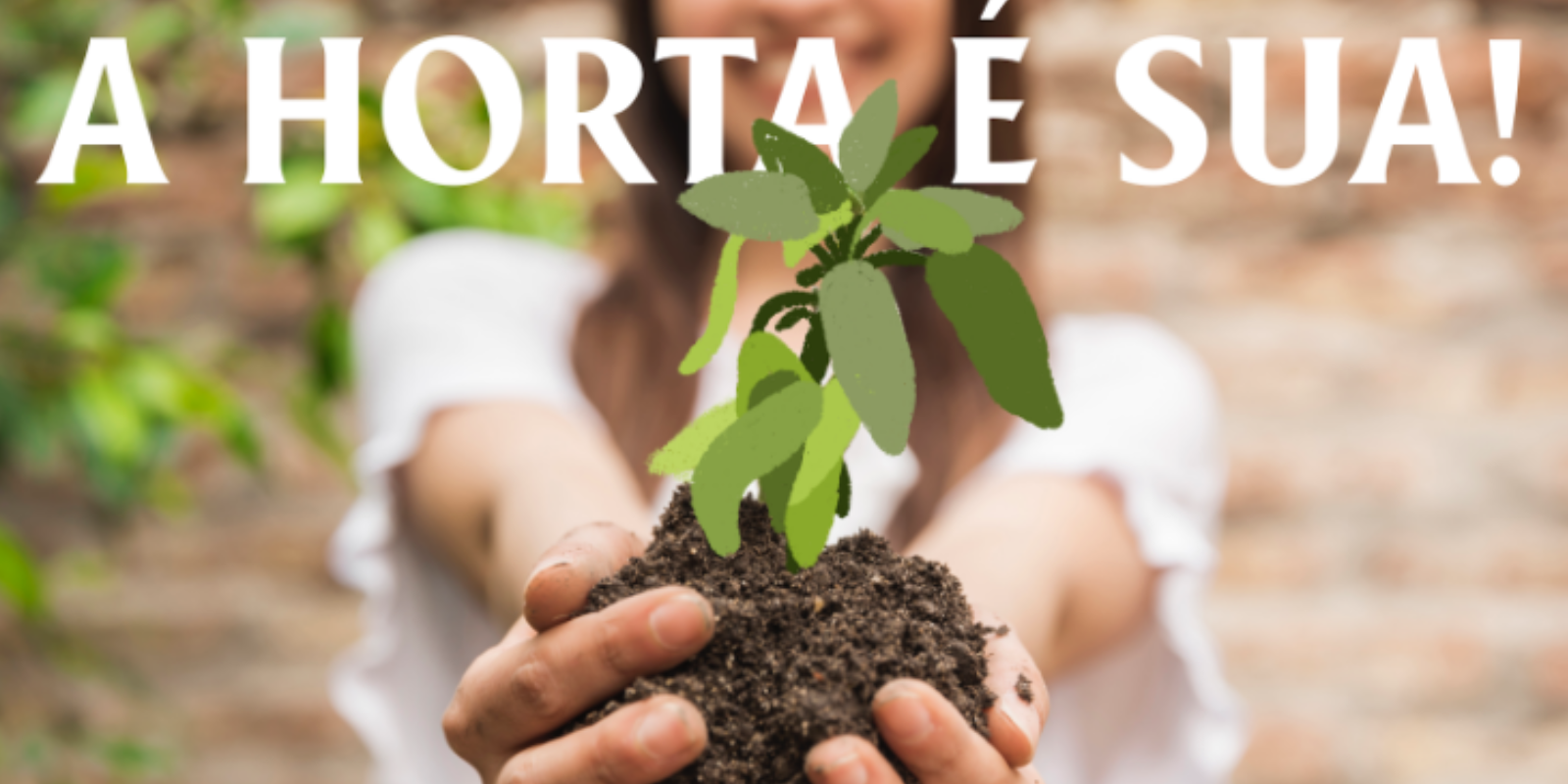 A horta é sua! » Yes We Grow